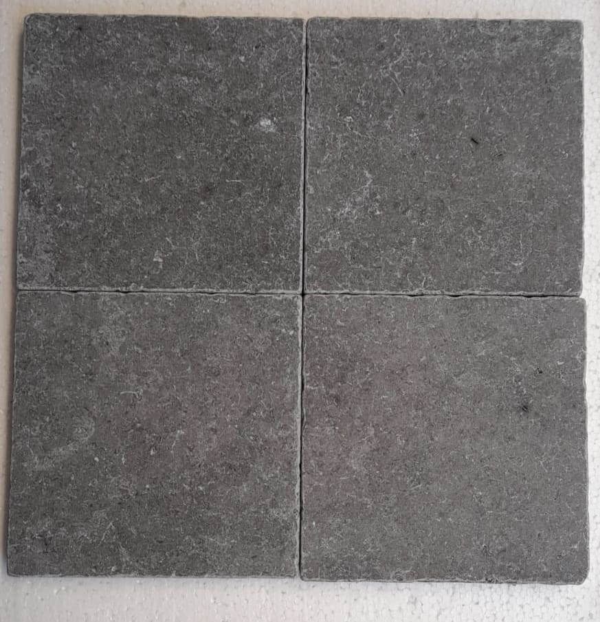 Sinai Pearl (Treista)Grey